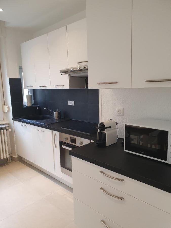 Appartement De Prestige Au Centre Climatise Avec Jardin Prive 科尔马 外观 照片