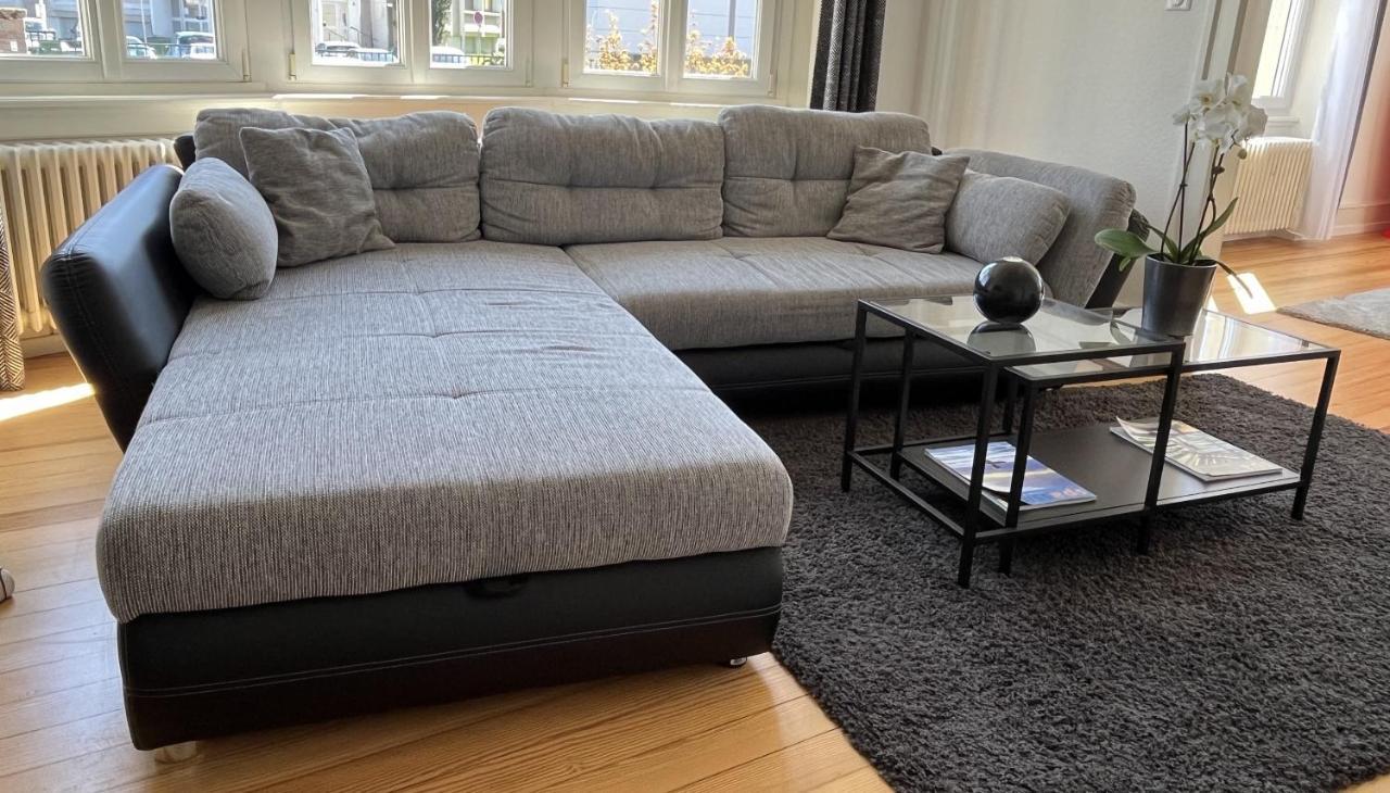 Appartement De Prestige Au Centre Climatise Avec Jardin Prive 科尔马 外观 照片