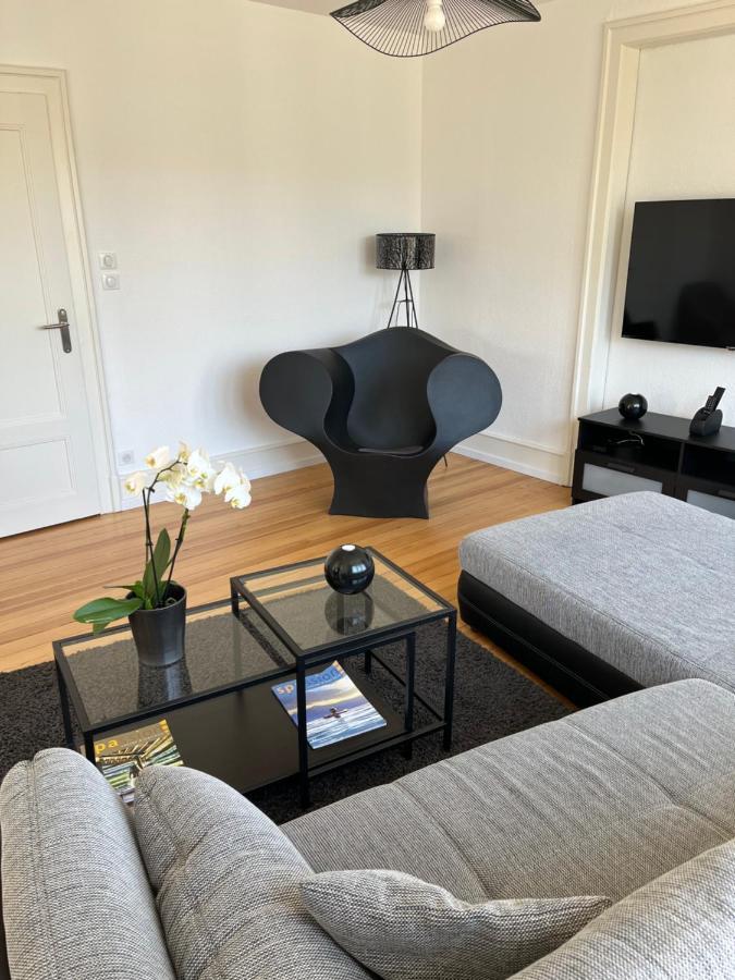 Appartement De Prestige Au Centre Climatise Avec Jardin Prive 科尔马 外观 照片