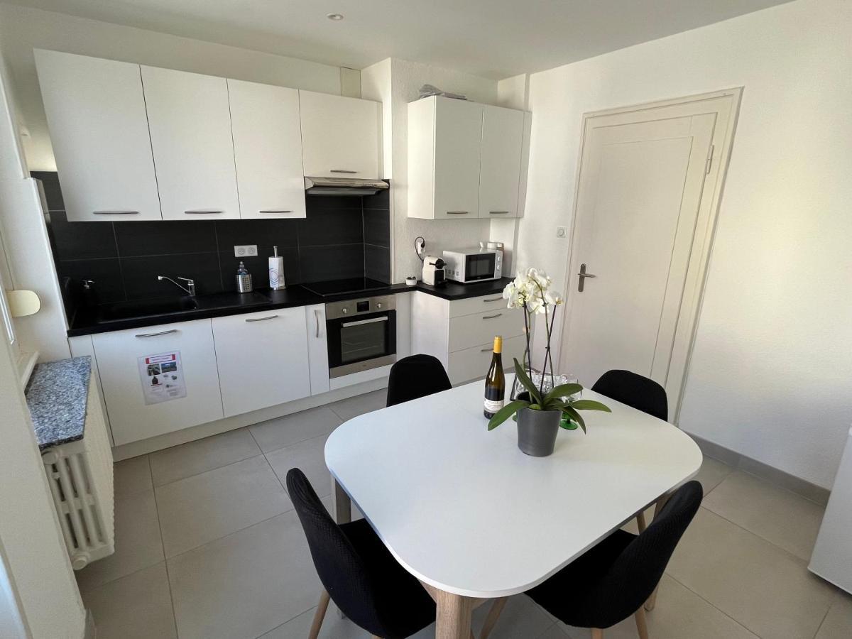 Appartement De Prestige Au Centre Climatise Avec Jardin Prive 科尔马 外观 照片