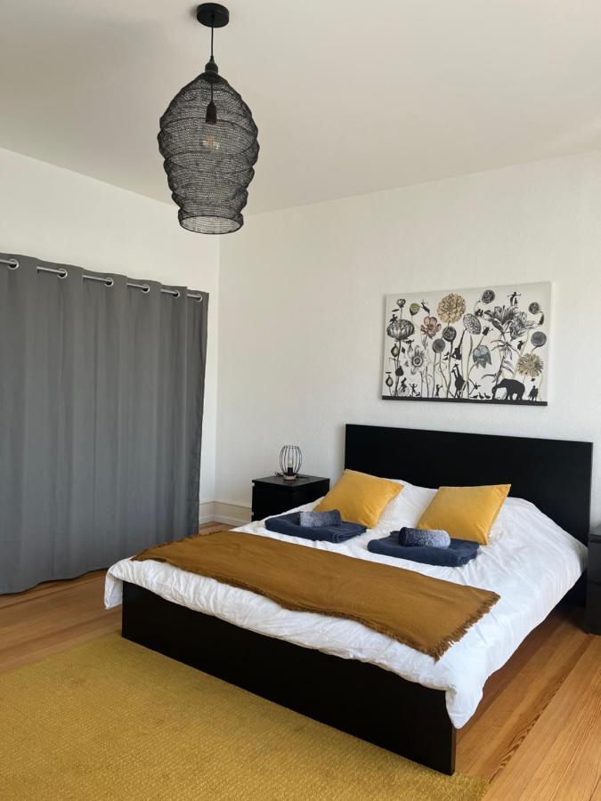 Appartement De Prestige Au Centre Climatise Avec Jardin Prive 科尔马 外观 照片