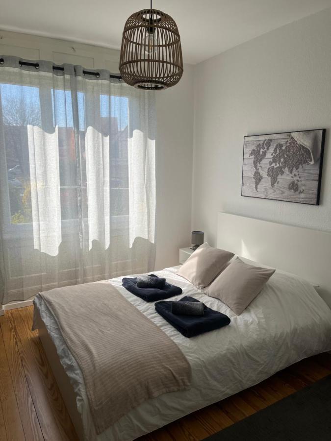 Appartement De Prestige Au Centre Climatise Avec Jardin Prive 科尔马 外观 照片